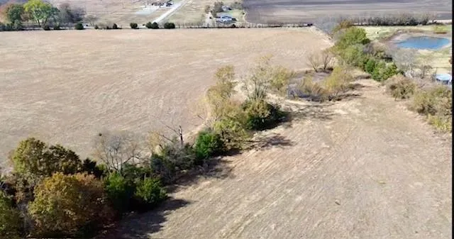 a view of a dry yard with trees in the background