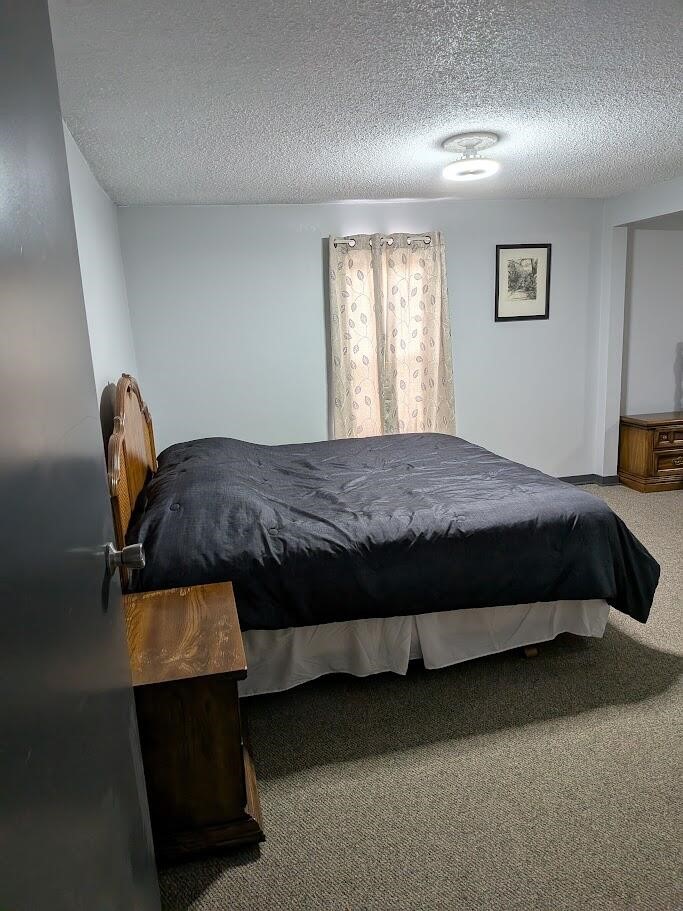 7202 21 Mile Road Evart, MI 49631 - Photo 24 of 69