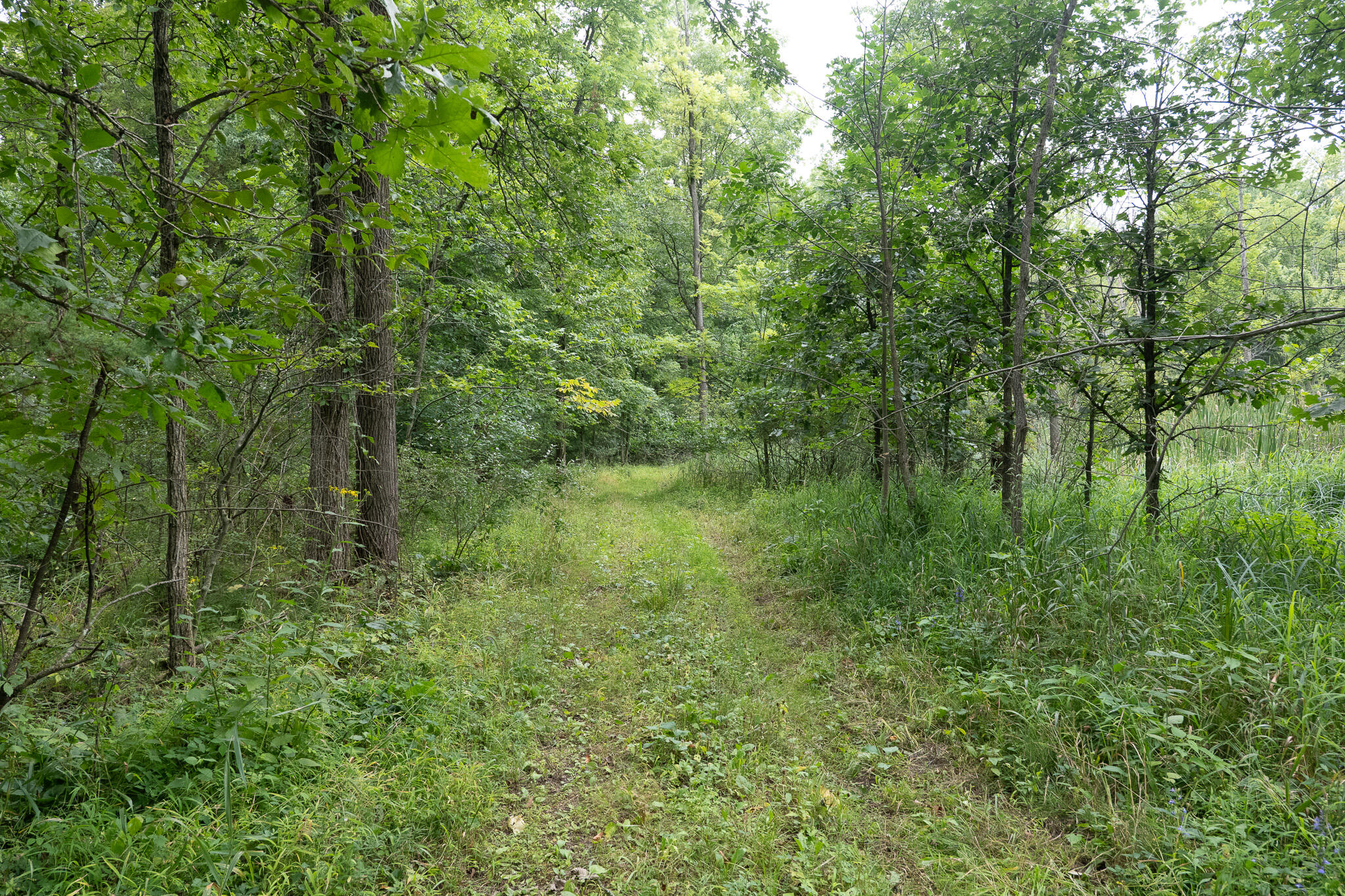 12680 Day Road Hudson, MI 49247 - Photo 70 of 77 P1101104