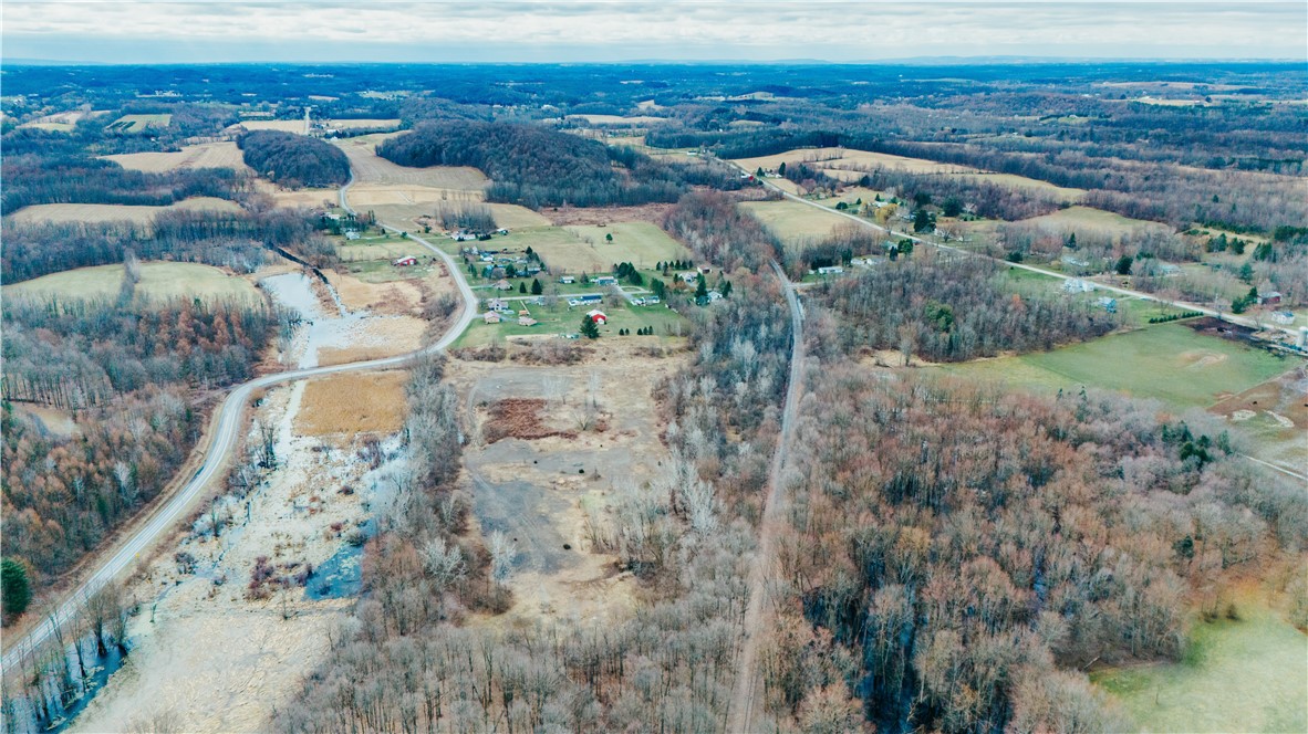 0 Henkle Road Lyons, NY 14489 - Photo 11 of 11