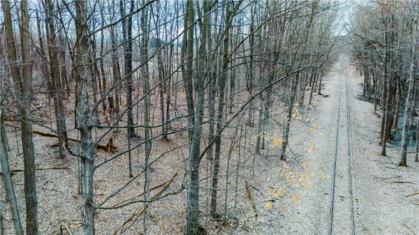 $15,000 | 0 Henkle Road, Lyons, NY 14489