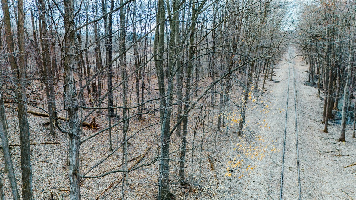 0 Henkle Road Lyons, NY 14489 - Photo 3 of 11