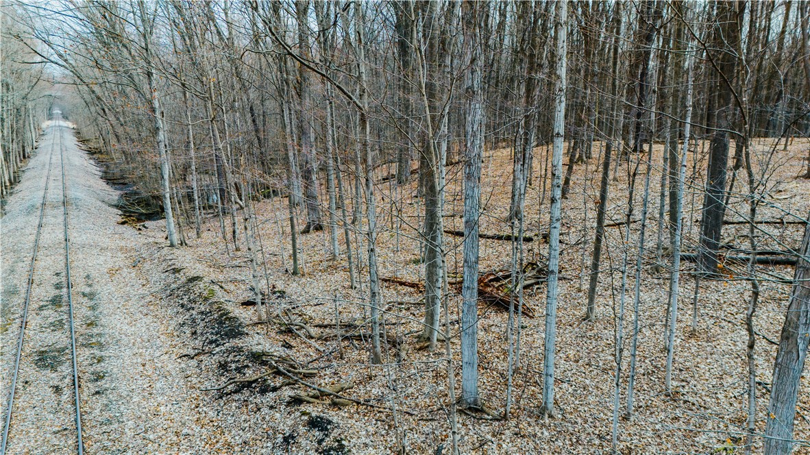 0 Henkle Road Lyons, NY 14489 - Photo 4 of 11