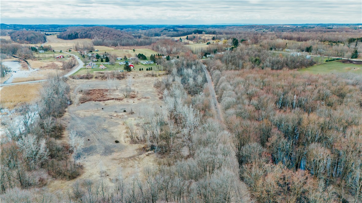 0 Henkle Road Lyons, NY 14489 - Photo 6 of 11