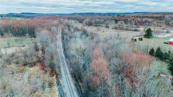 $15,000 | 0 Henkle Road, Lyons, NY 14489