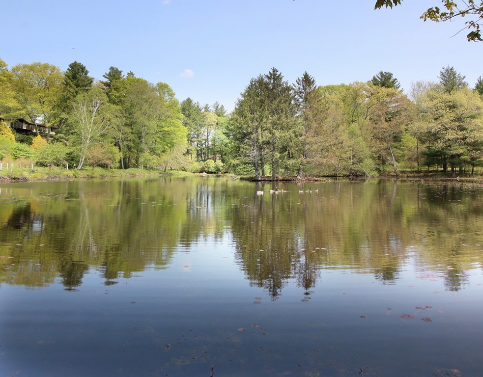 a view of a lake with houses in the back