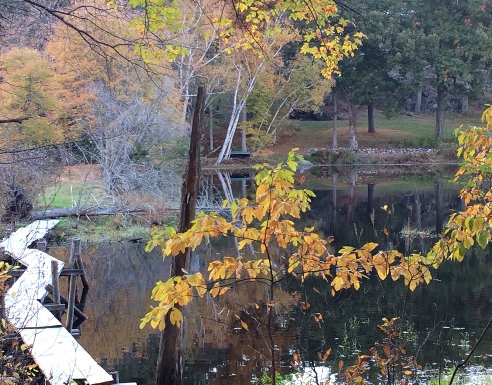 6 Millstone Lane Lincoln, MA 01773 - Photo 28 of 30 a backyard of a house with lots of green space