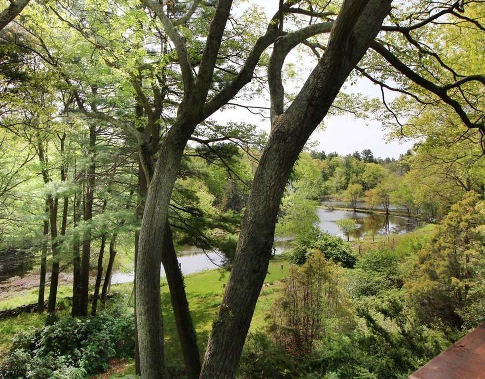 6 Millstone Lane Lincoln, MA 01773 - Photo 3 of 30 a yard with tall trees