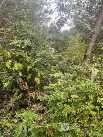 a view of a green field