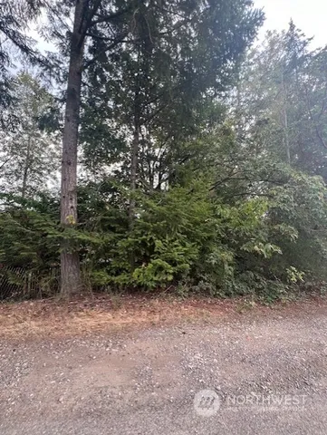 a view of outdoor space and trees