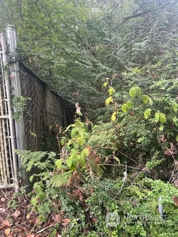 a backyard of a house with lots of green space and wooden fence