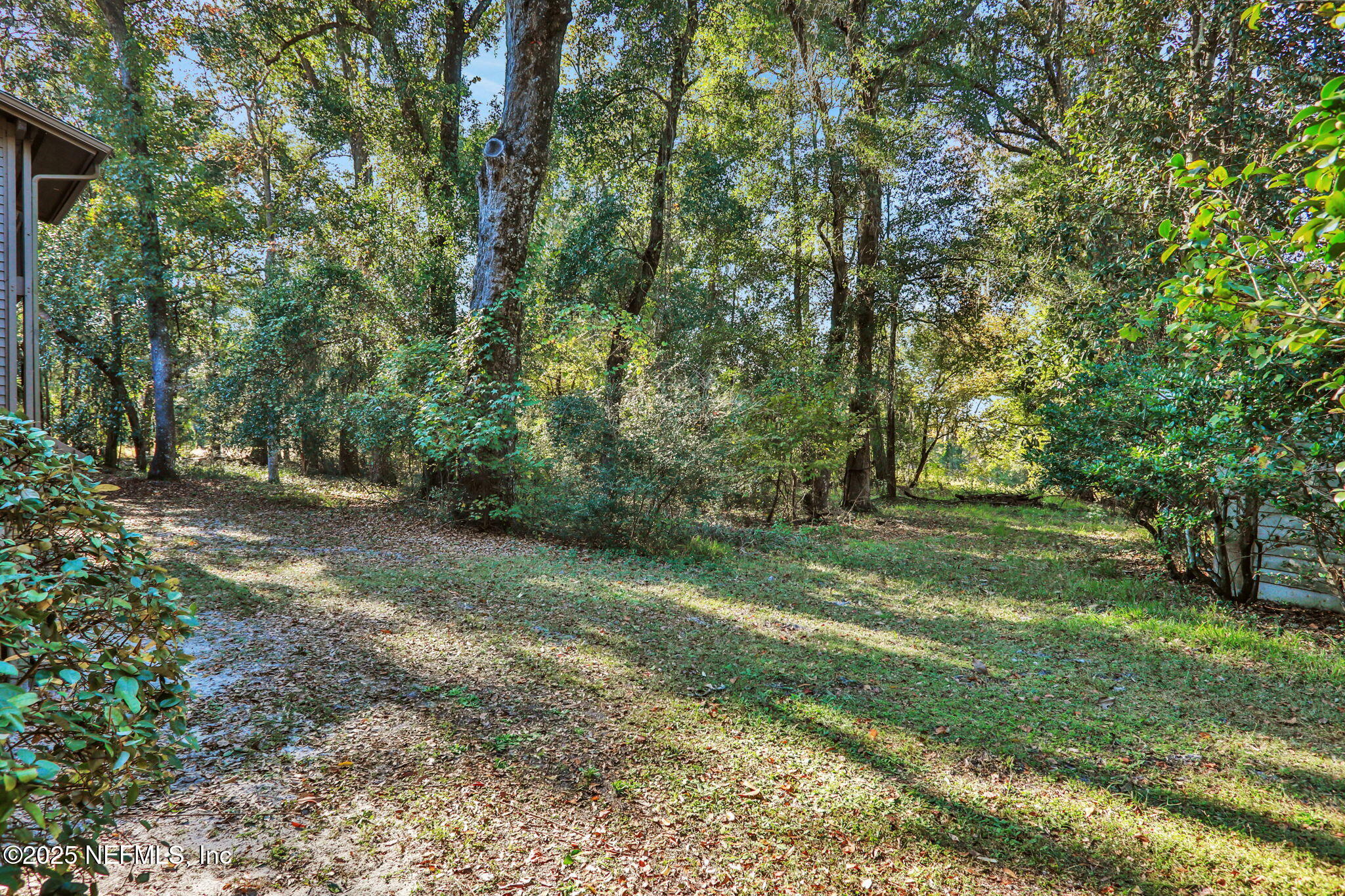 2970 Ravines Road, Unit 1308 Middleburg, FL 32068 - Photo 33 of 33 a view of outdoor space with trees all around