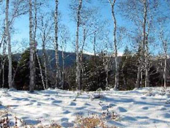 2114 Kathy Meyer Road Warren, VT 05674 - Photo 1 of 1