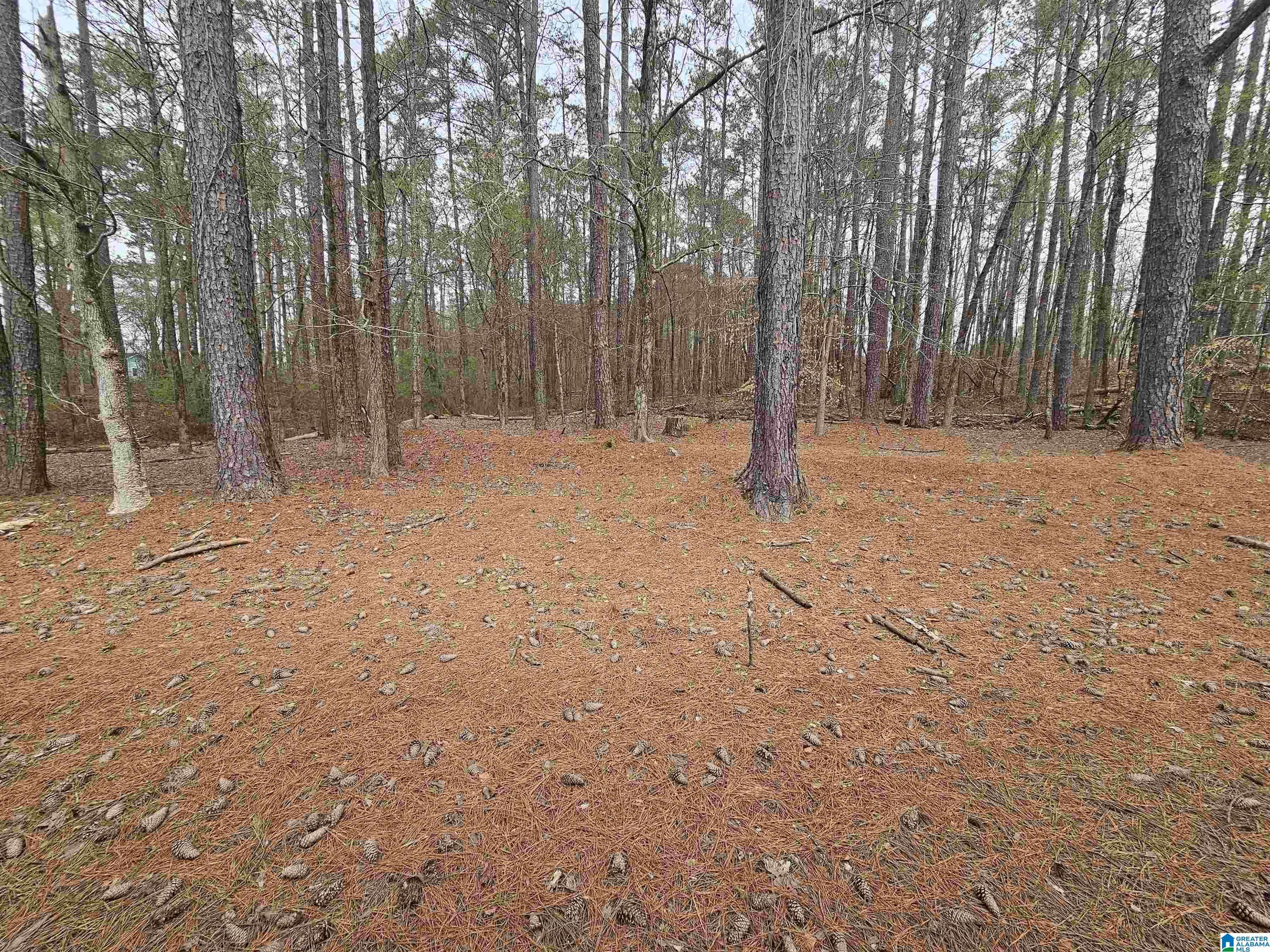 2176 Old Hayden Road Warrior, AL 35180 - Photo 23 of 25
