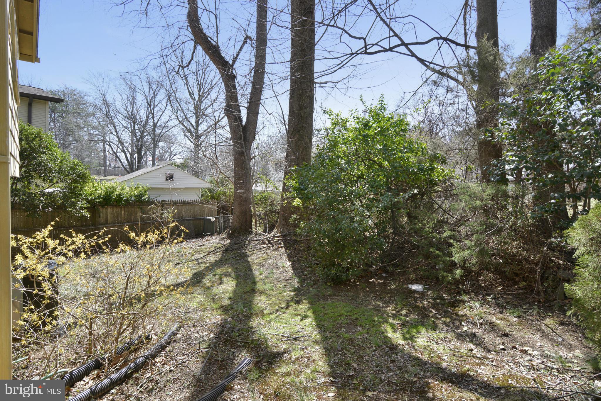 10802 Cavalier Drive Silver Spring, MD 20901 - Photo 29 of 30 View from Back