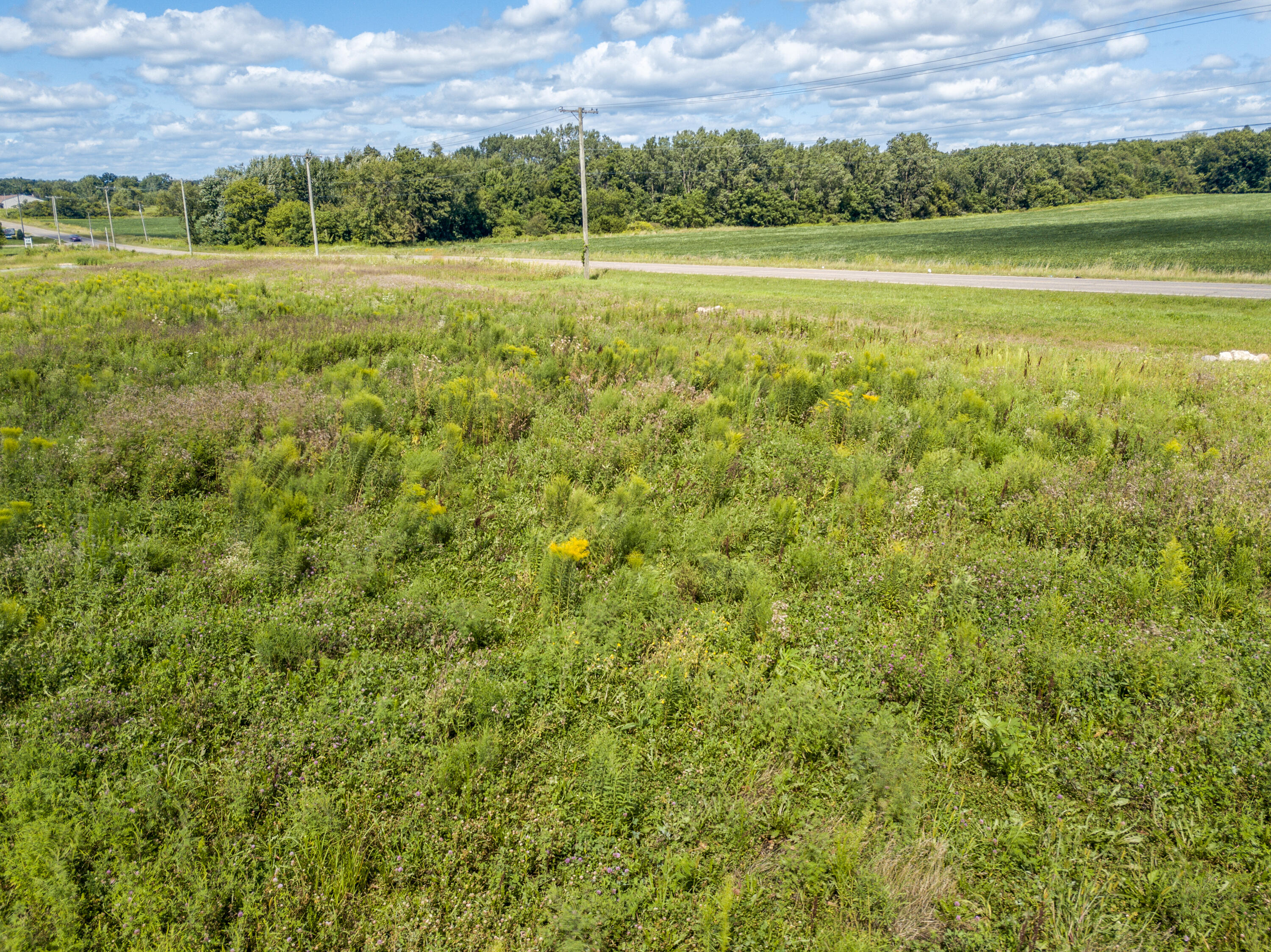 0 North Willowbrook Road Coldwater, MI 49036 - Photo 5 of 11 DJI_0081enf