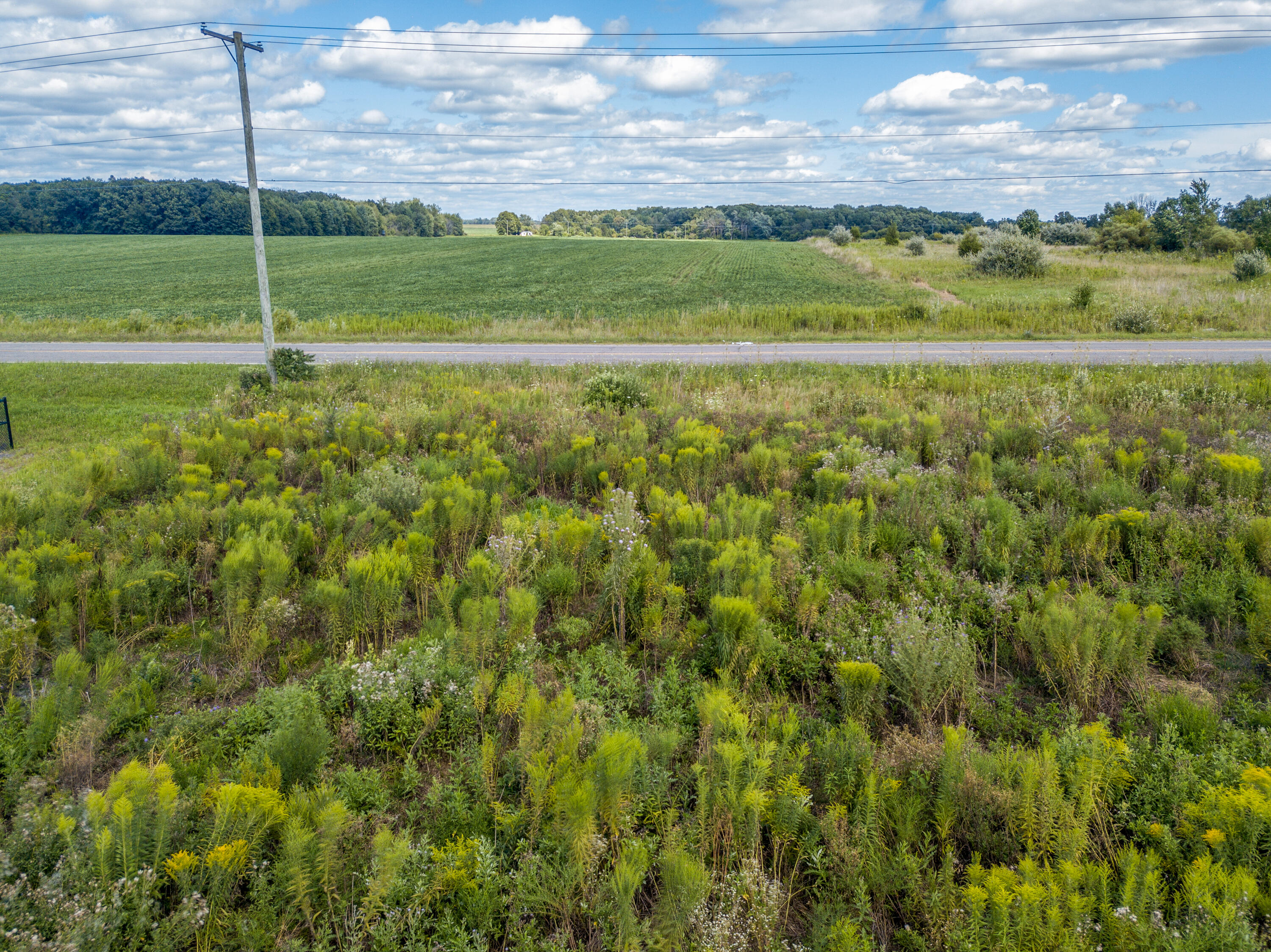 0 North Willowbrook Road Coldwater, MI 49036 - Photo 7 of 11 DJI_0087enf