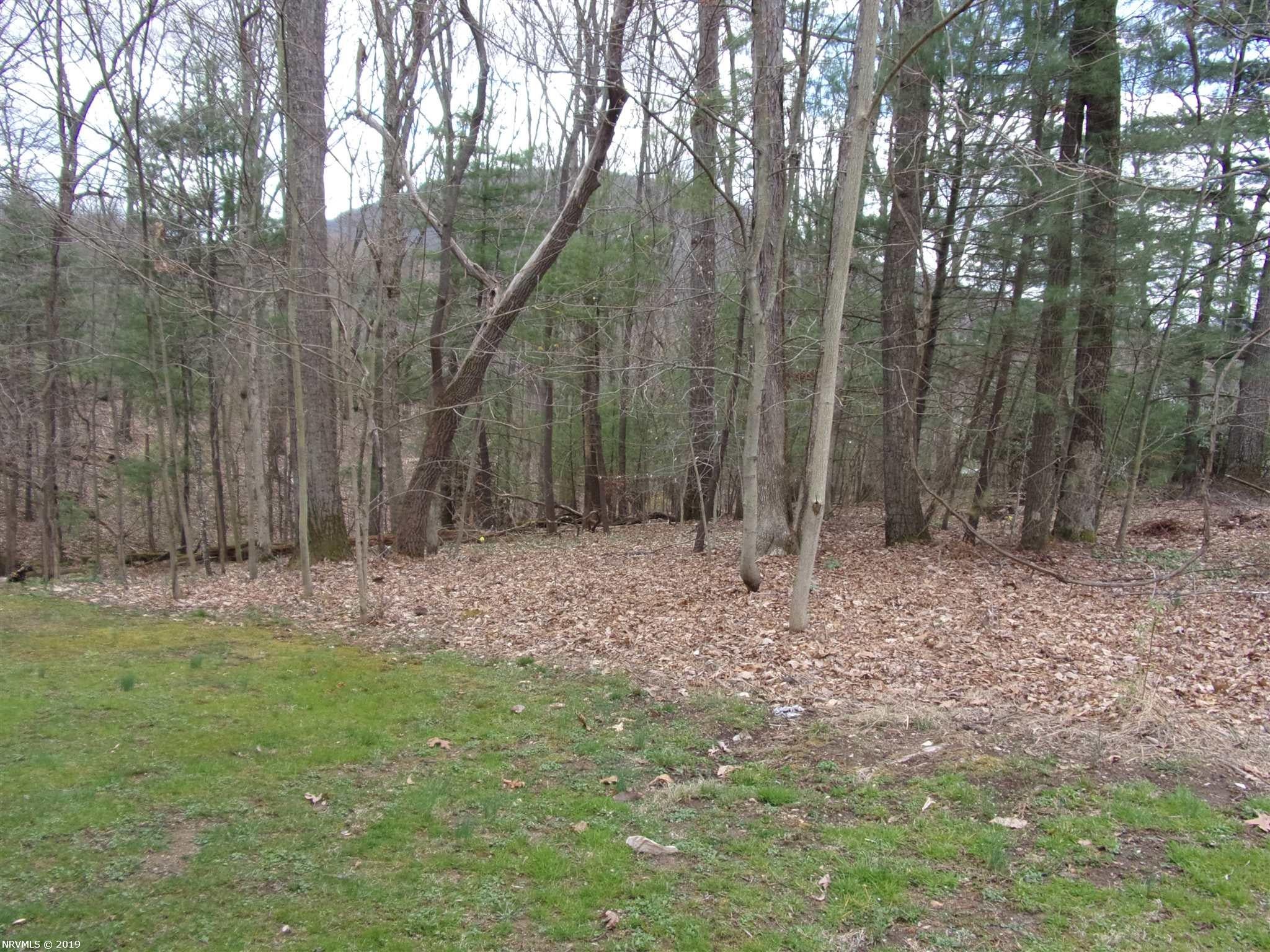 804 Fort Branch Road Pearisburg, VA 24134 - Photo 89 of 104 Gallery Image 89