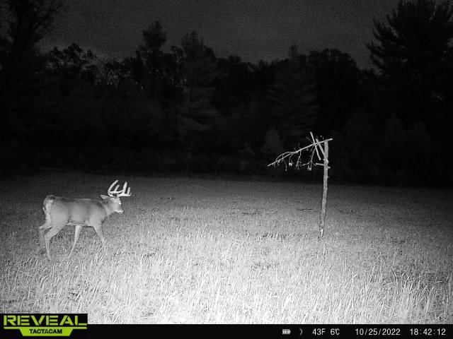 Lot 4 Grayling Tomah, WI 54660 - Photo 42 of 50