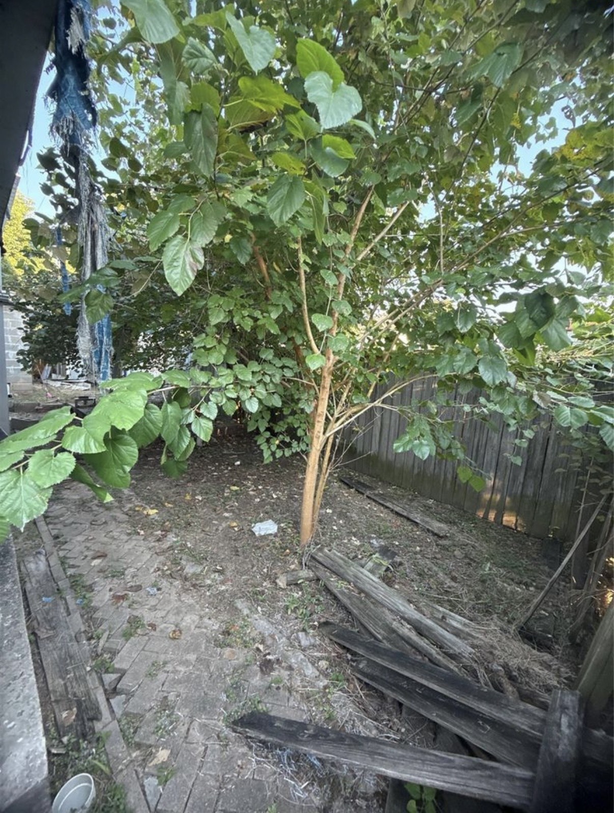 8412 Peekskill Lane Houston, TX 77075 - Photo 41 of 46 a backyard of a house with lots of green space