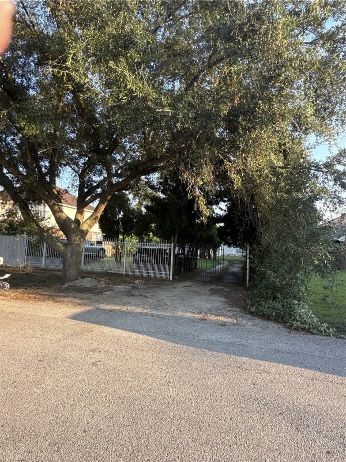 8412 Peekskill Lane Houston, TX 77075 - Photo 45 of 46 a view of a yard with a trees