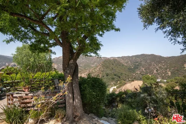 a view of a house with a yard and potted plants