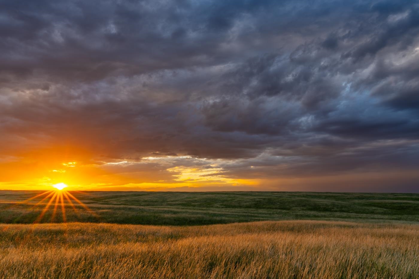 214 Carribean Road Cheyenne, WY 82009 - Photo 5 of 22