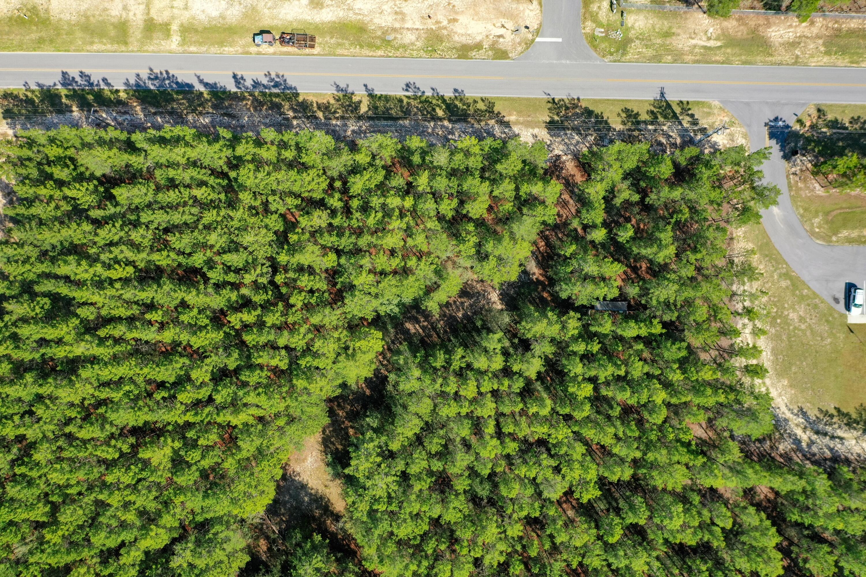 Xxx Triple G Road DeFuniak Springs, FL 32433 - Photo 3 of 16 a view of a lake and a yard
