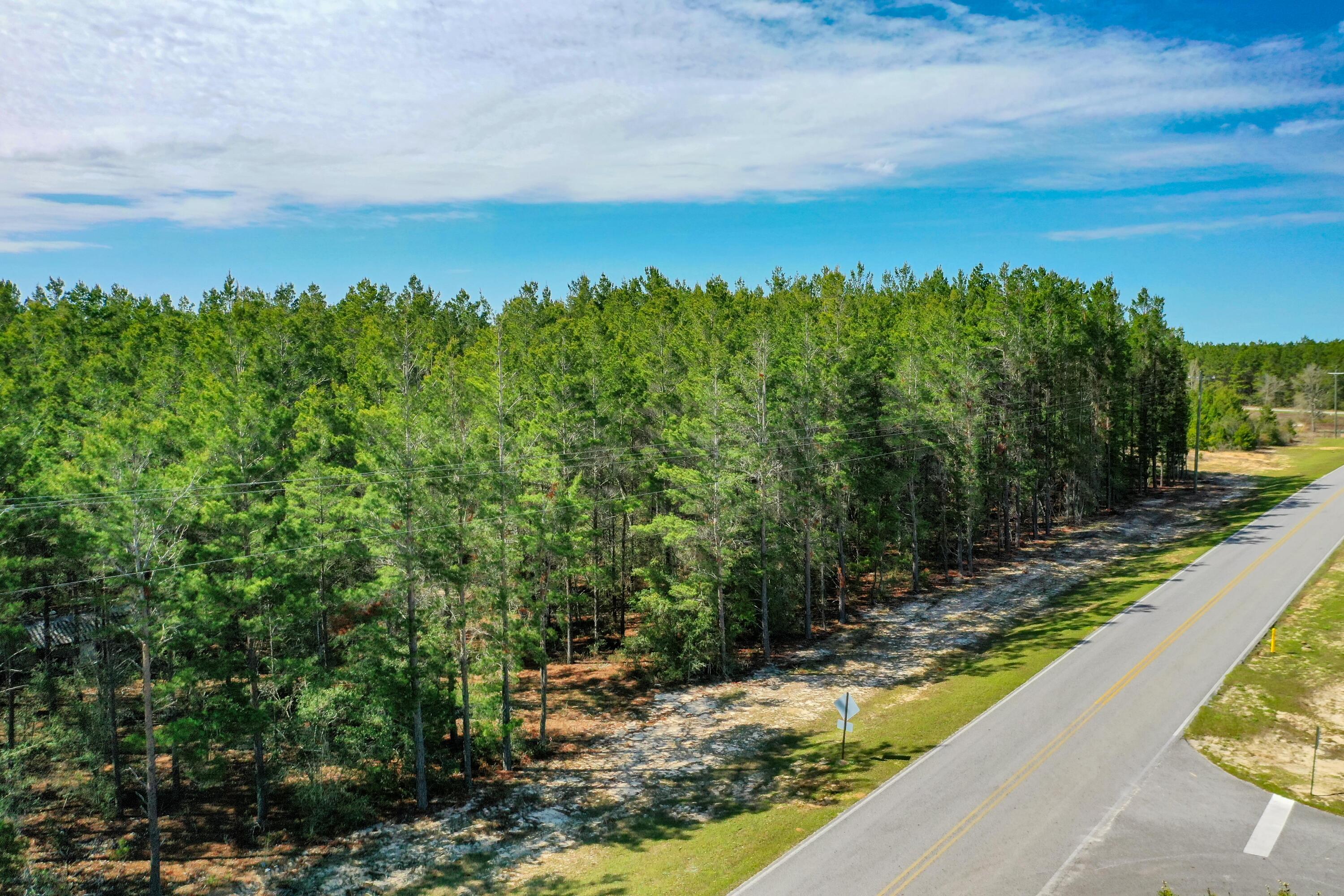 Xxx Triple G Road DeFuniak Springs, FL 32433 - Photo 8 of 16 a view of a yard with an trees