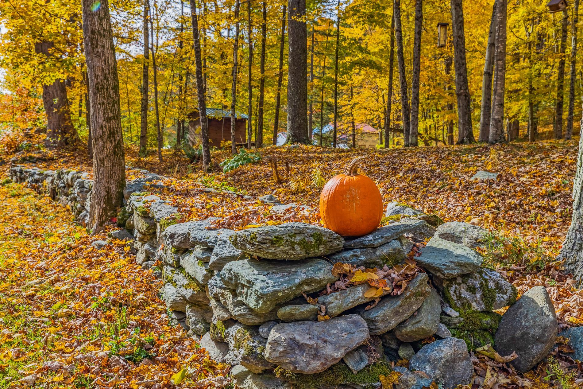 425 Hidden Valley Road Rupert, VT 05776 - Photo 21 of 28 Gallery Image 21