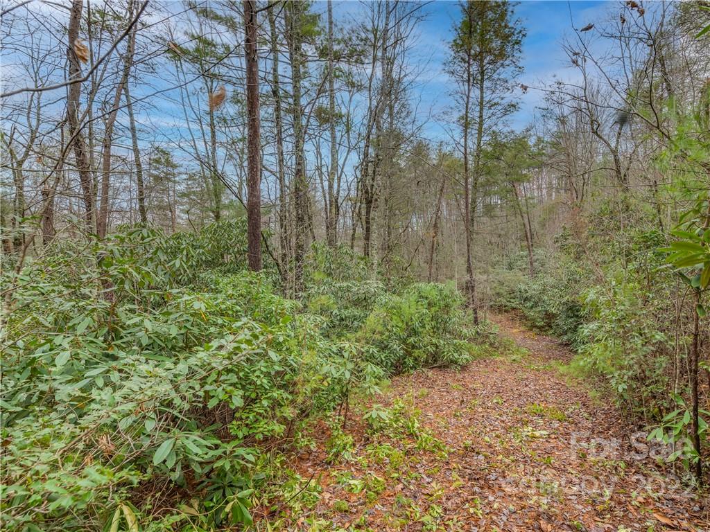 Lot 14 Staton Ridge Road Saluda, NC 28773 - Photo 4 of 13 a view of a garden with trees