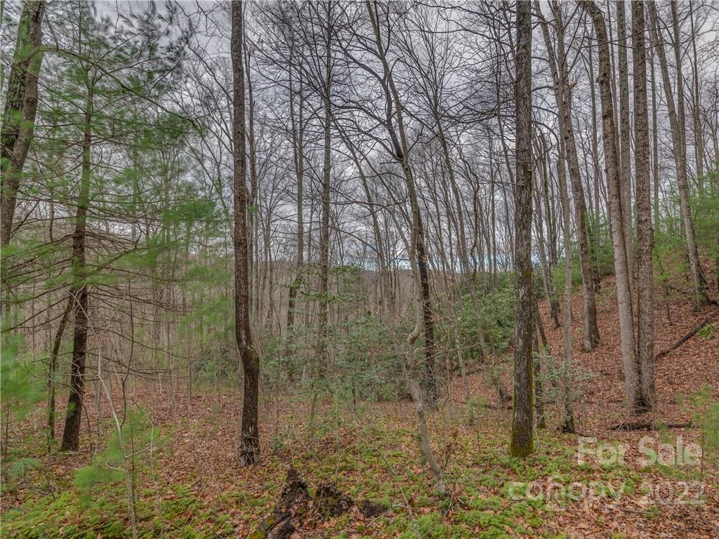 Lot 14 Staton Ridge Road Saluda, NC 28773 - Photo 7 of 13 a view of a bathroom with shower