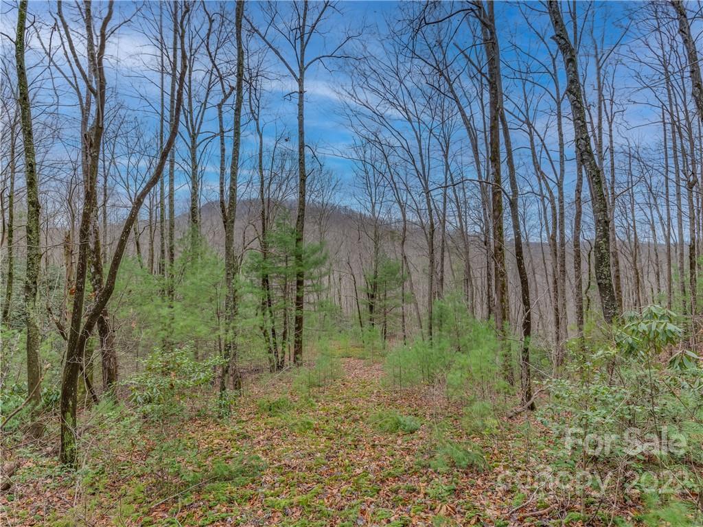 Lot 14 Staton Ridge Road Saluda, NC 28773 - Photo 10 of 13 a backyard of a house with lots of green space