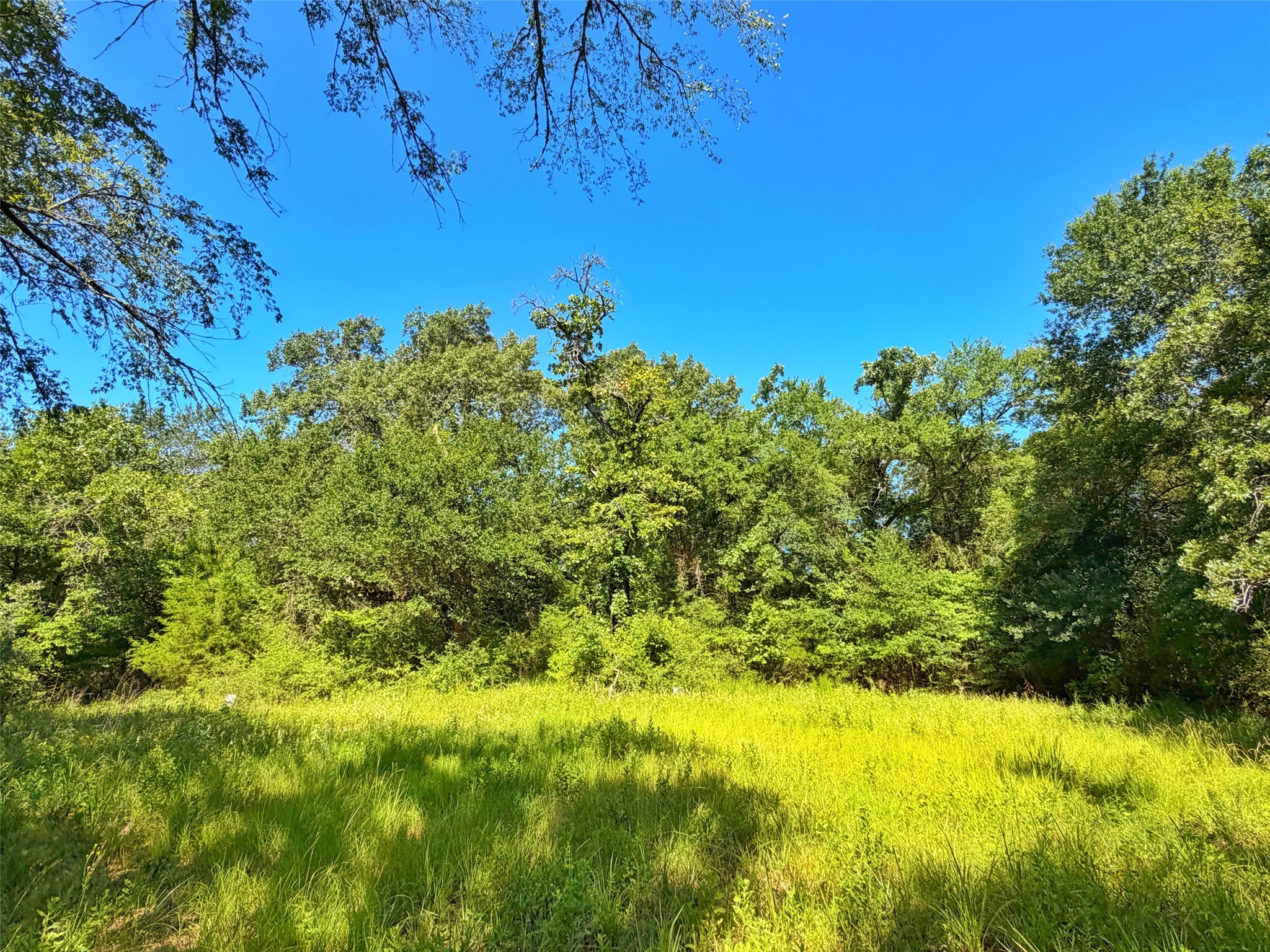 Tbd Tbd I-45 West Feeder Road Centerville, TX 75833 - Photo 9 of 15