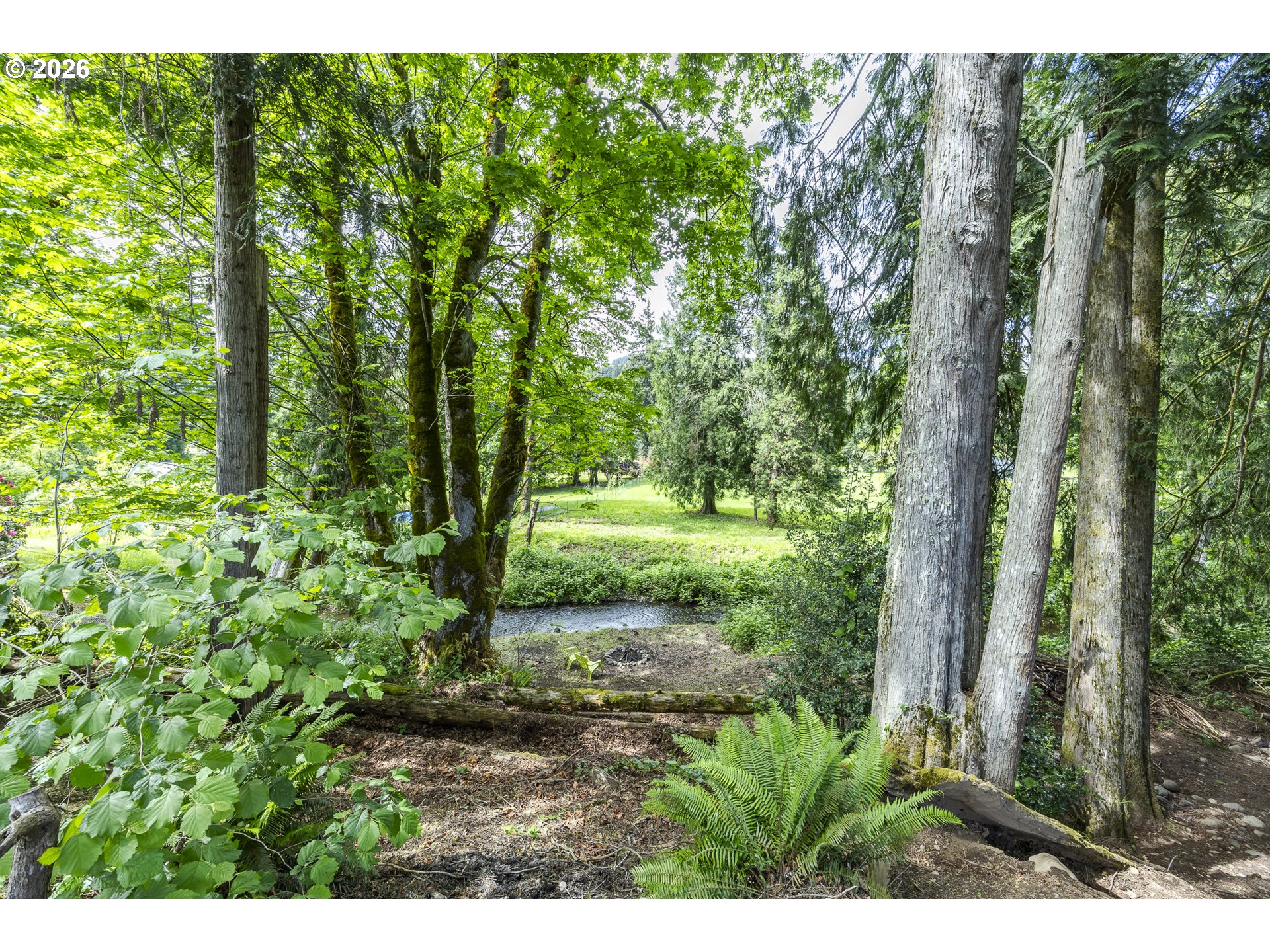 41765 Madrone Street Springfield, OR 97478 - Photo 35 of 42