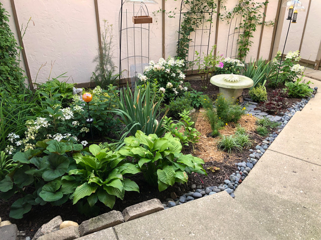 1130 Oakview Drive Wheaton, IL 60187 - Photo 2 of 25 a view of a backyard with plants