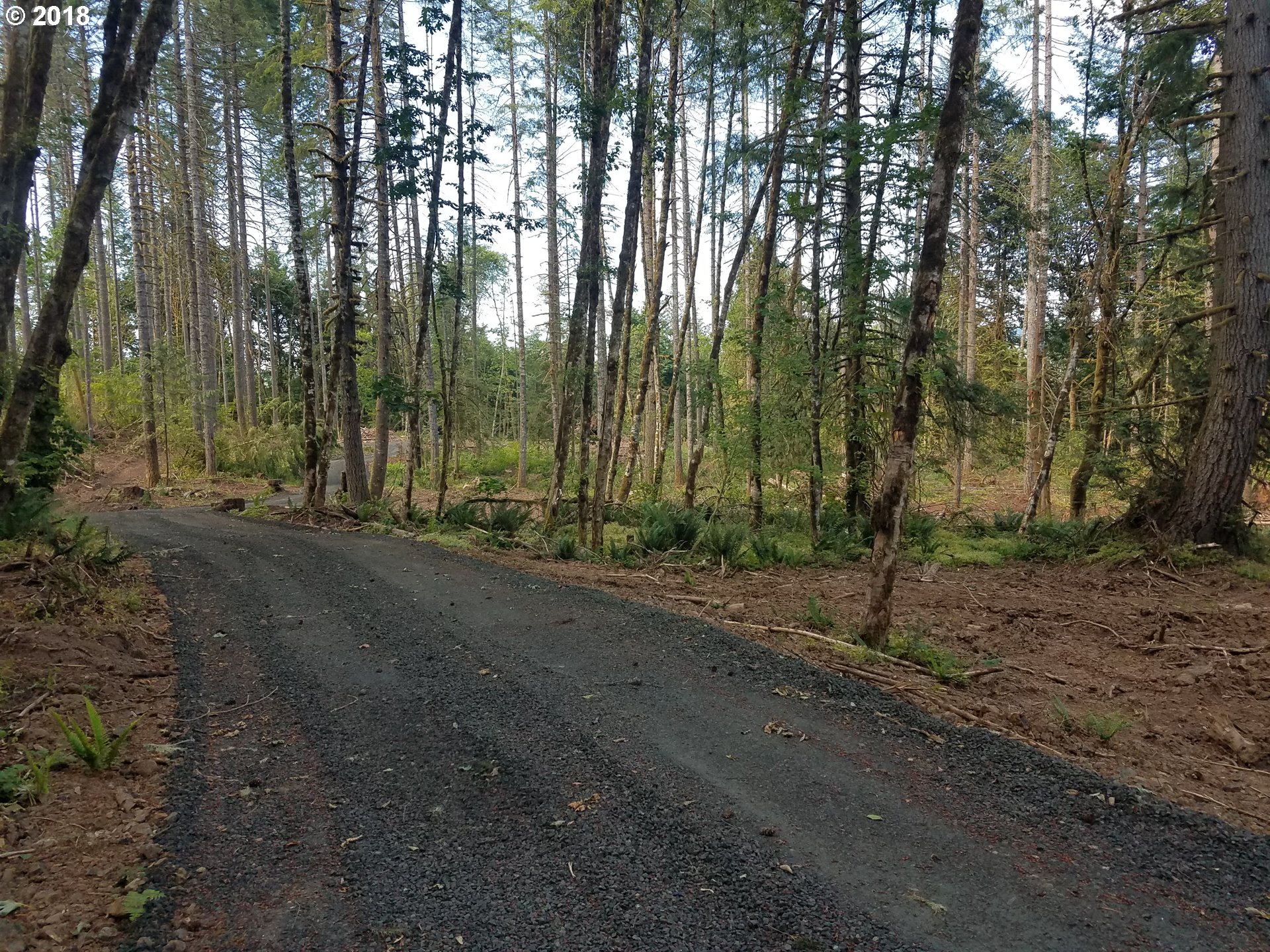 Northwest Dingheiser Road Banks, OR 97106 - Photo 1 of 9 Gallery Image 1