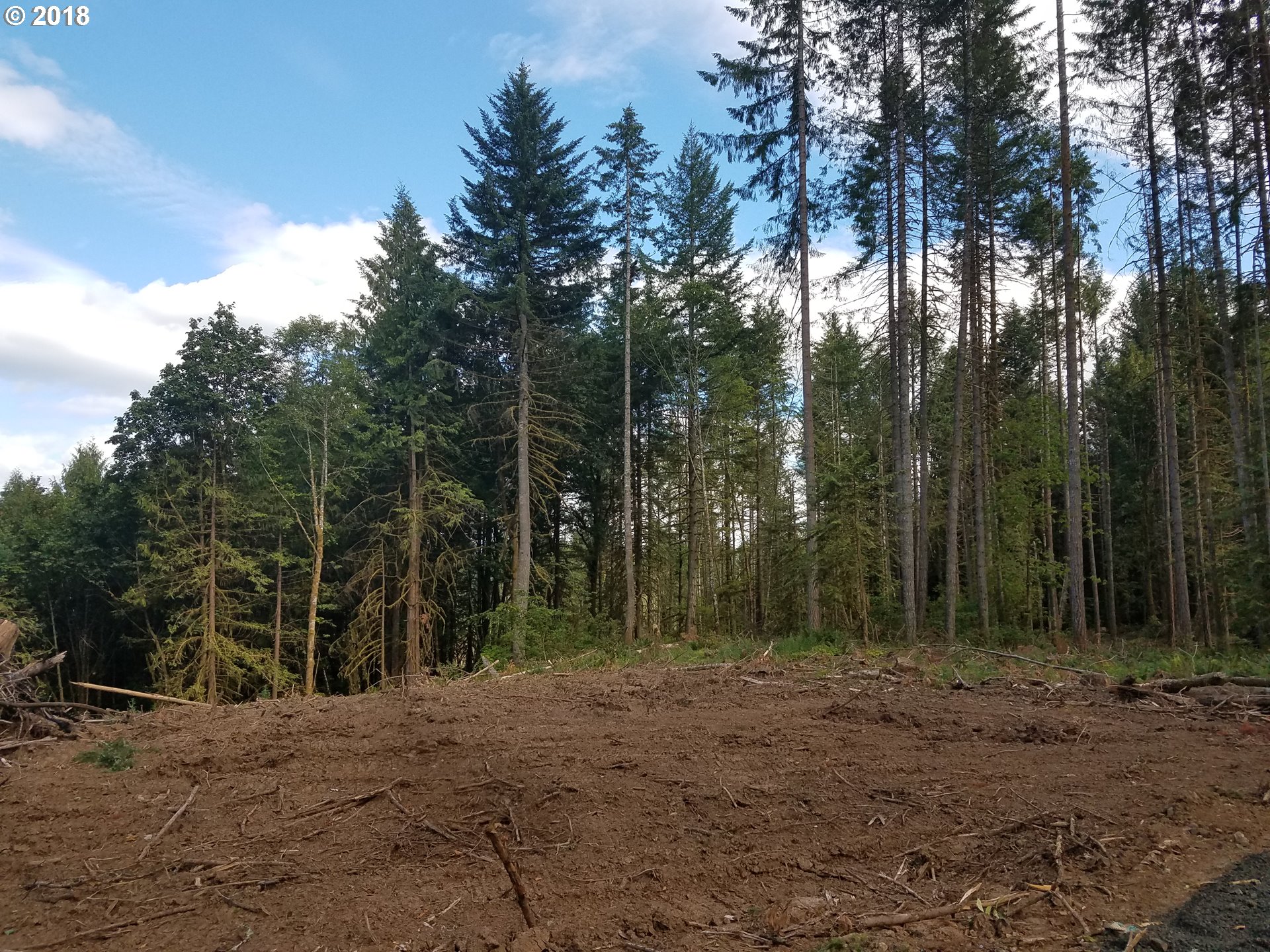 Northwest Dingheiser Road Banks, OR 97106 - Photo 6 of 9 Gallery Image 6