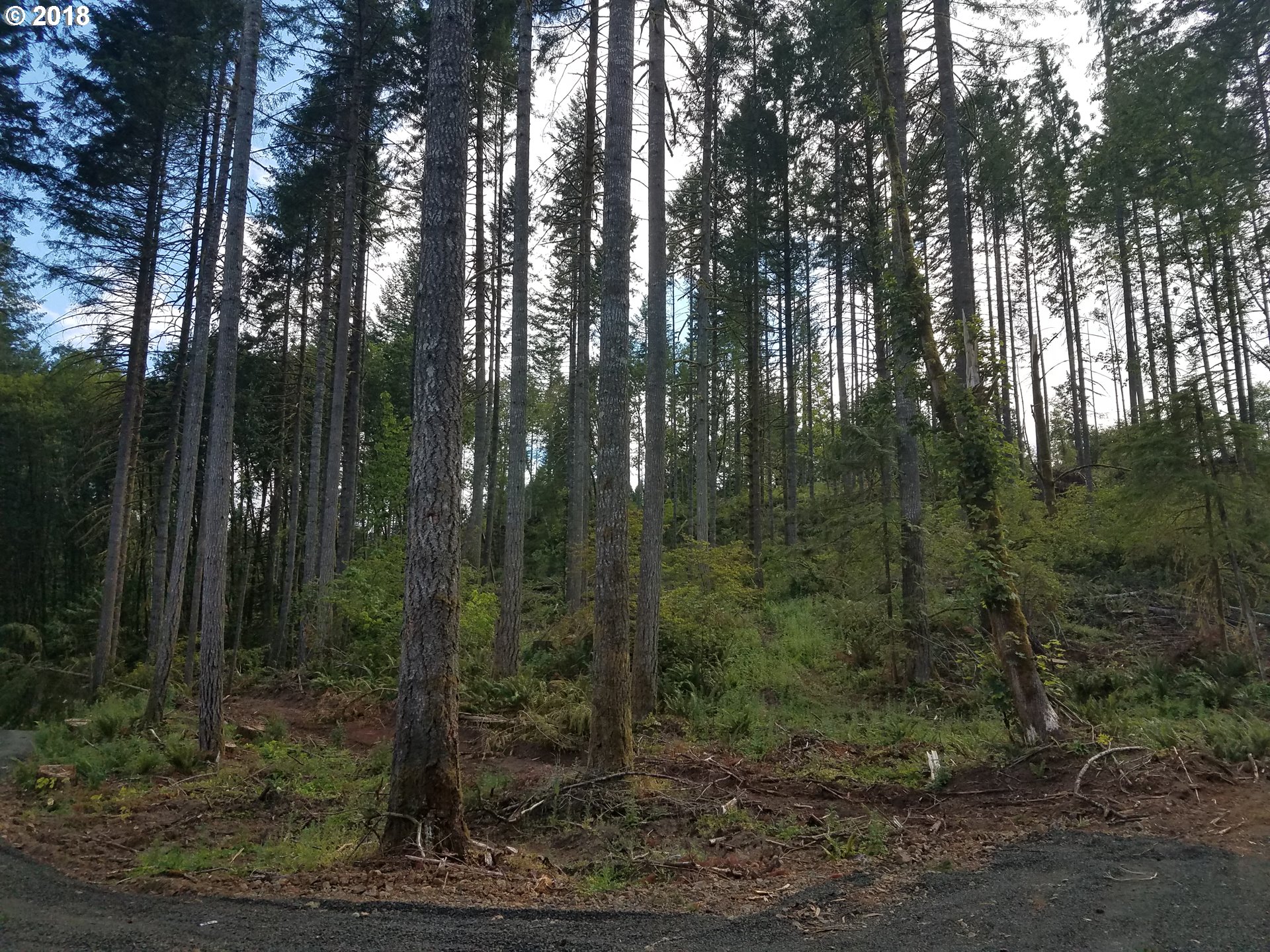 Northwest Dingheiser Road Banks, OR 97106 - Photo 7 of 9 Gallery Image 7