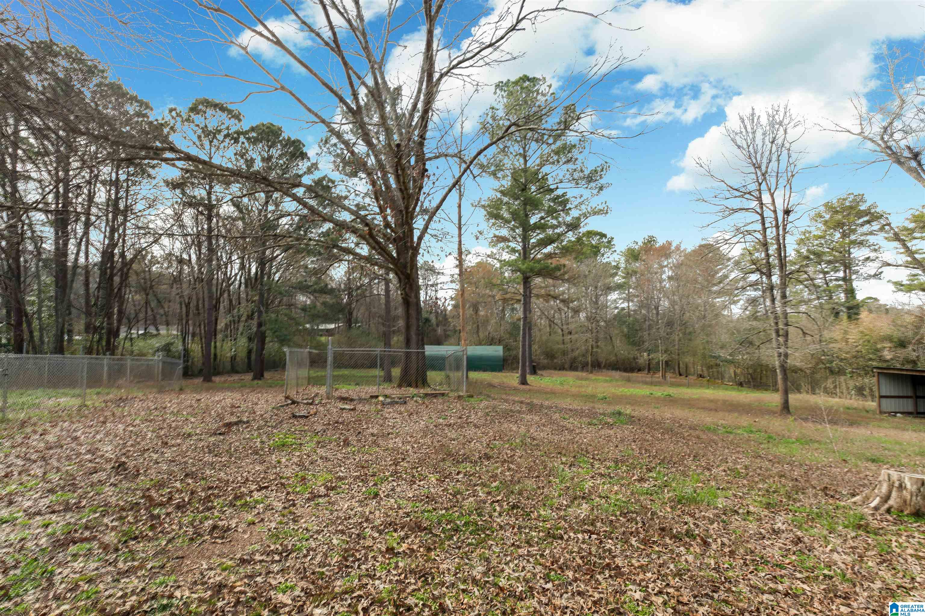 1610 Taylors Mill Road Talladega, AL 35160 - Photo 16 of 20