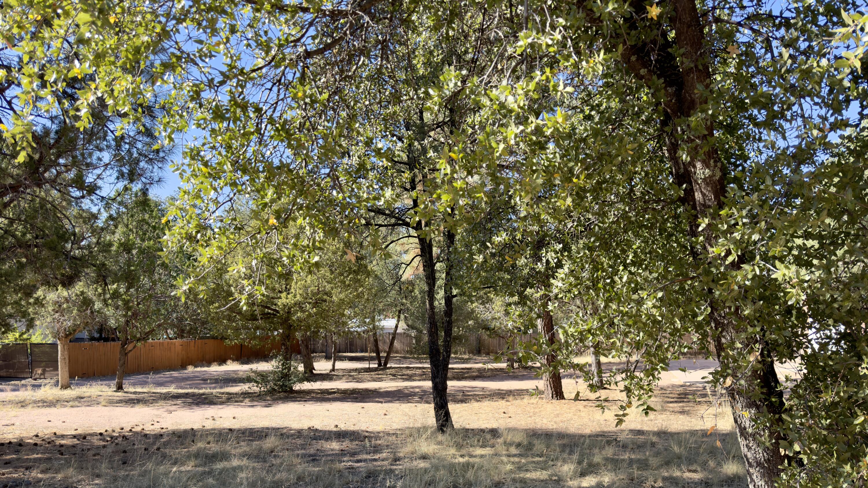 1428 North Easy Street Payson, AZ 85541 - Photo 7 of 12