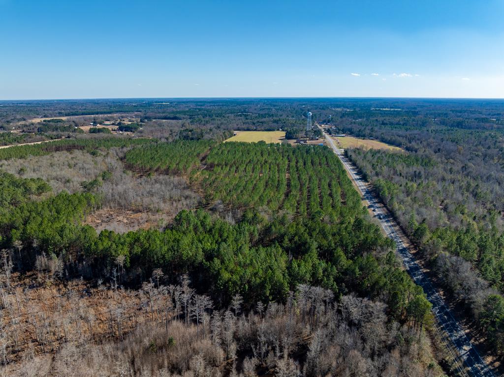 Lot 3-15 -ac Cottonwood Rd/ Phillips Road Cottonwood, AL 36320 - Photo 36 of 49