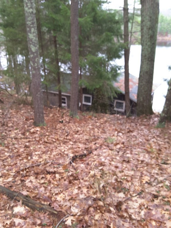 105-A Hardwick Pond Road Hardwick, MA 01082 - Photo 3 of 10 a view of backyard with tree