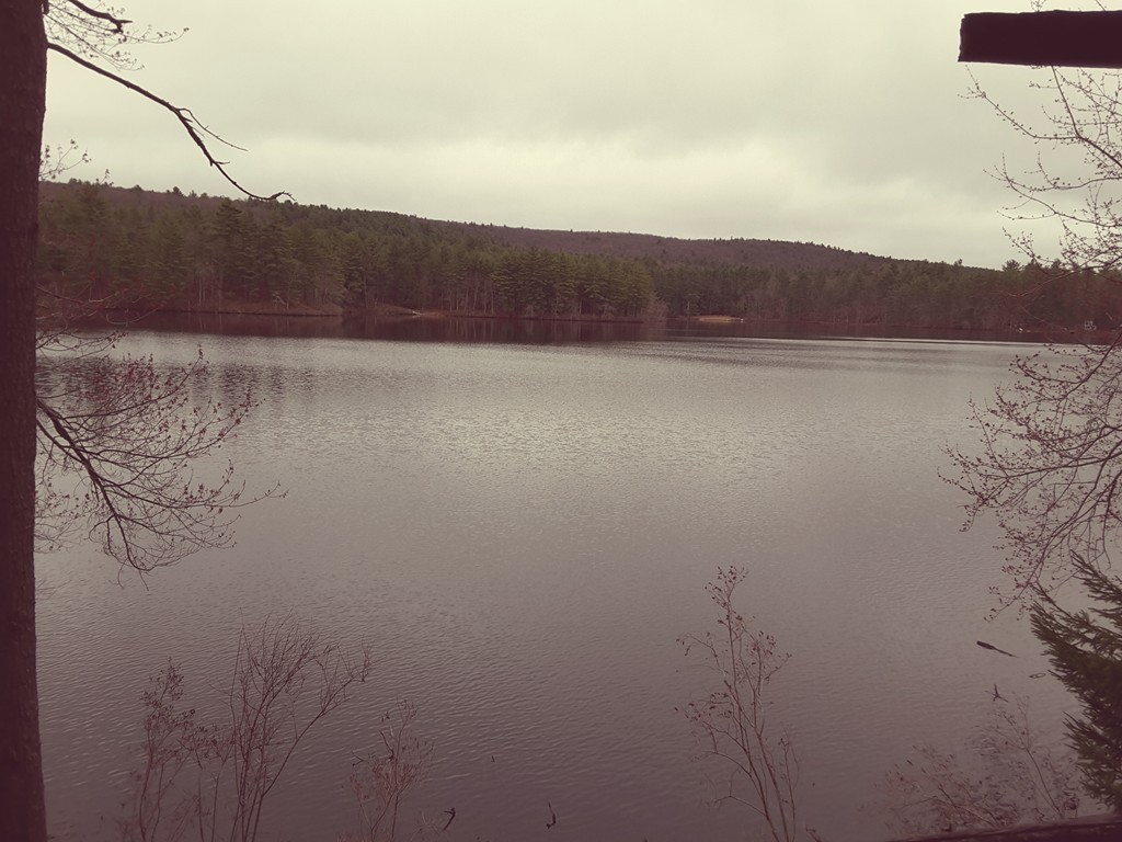 105-A Hardwick Pond Road Hardwick, MA 01082 - Photo 4 of 10 a view of lake and mountain