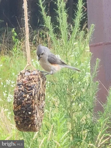 $279,900 | 44 Scrub Pine, Bunker Hill, WV 25413