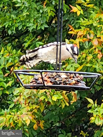 $279,900 | 44 Scrub Pine, Bunker Hill, WV 25413