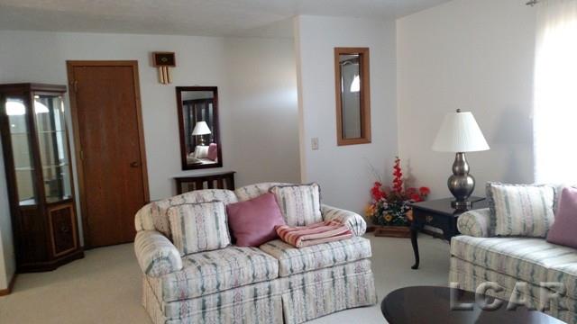 3099 Ives Road Tecumseh, MI 49286 - Photo 3 of 37 Gallery Image 3