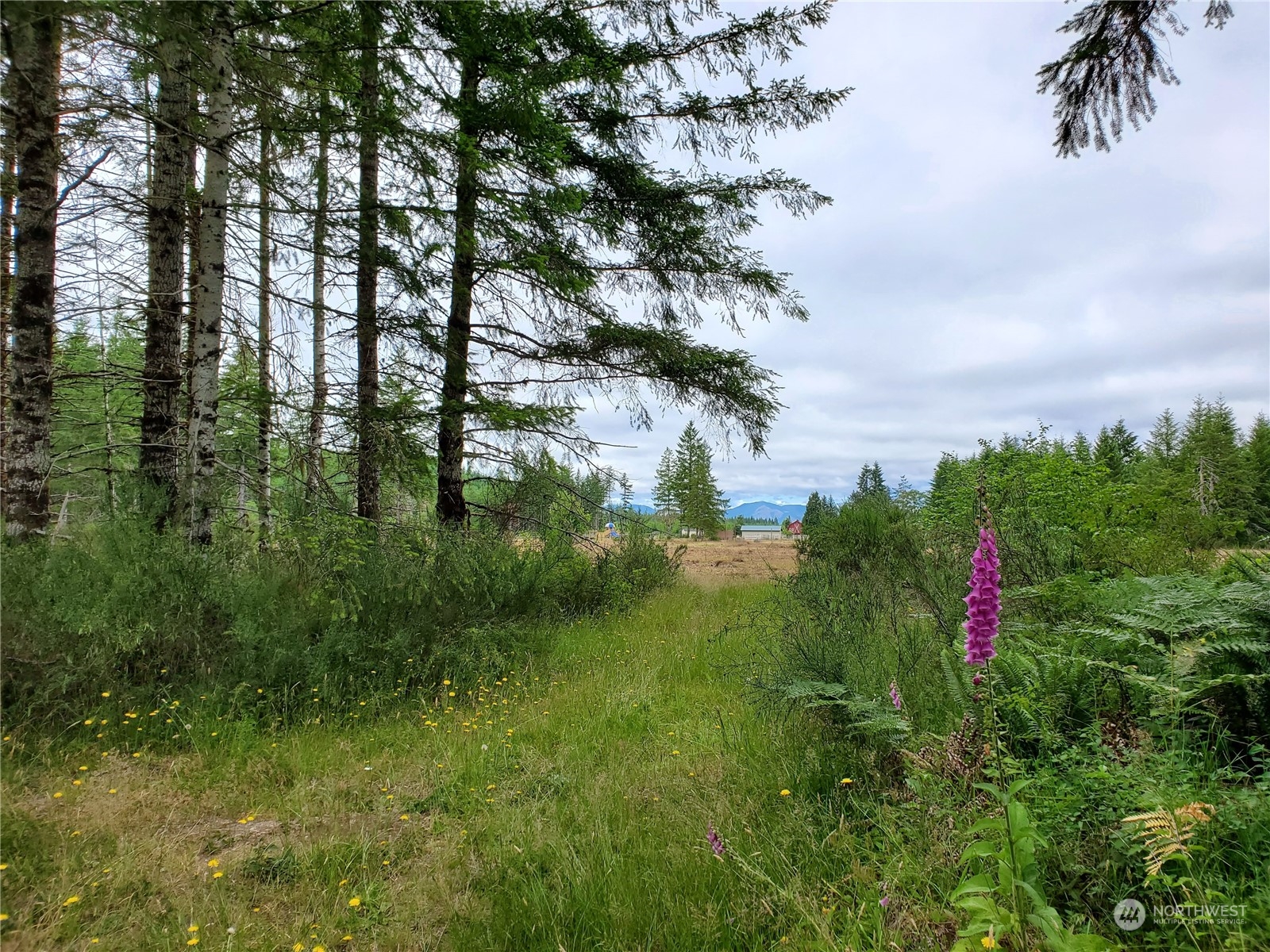 -xx West Matlock-Brady Road Elma, WA 98541 - Photo 1 of 9 Gallery Image 1