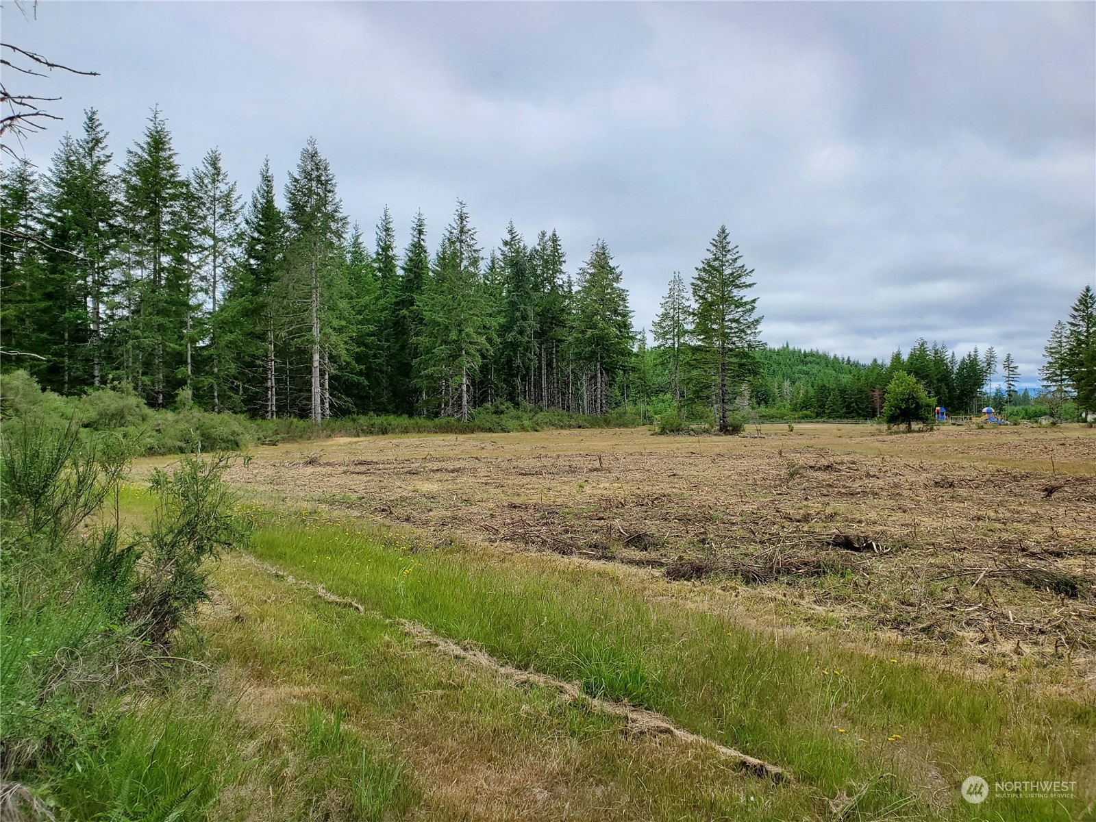 -xx West Matlock-Brady Road Elma, WA 98541 - Photo 6 of 9 Gallery Image 6