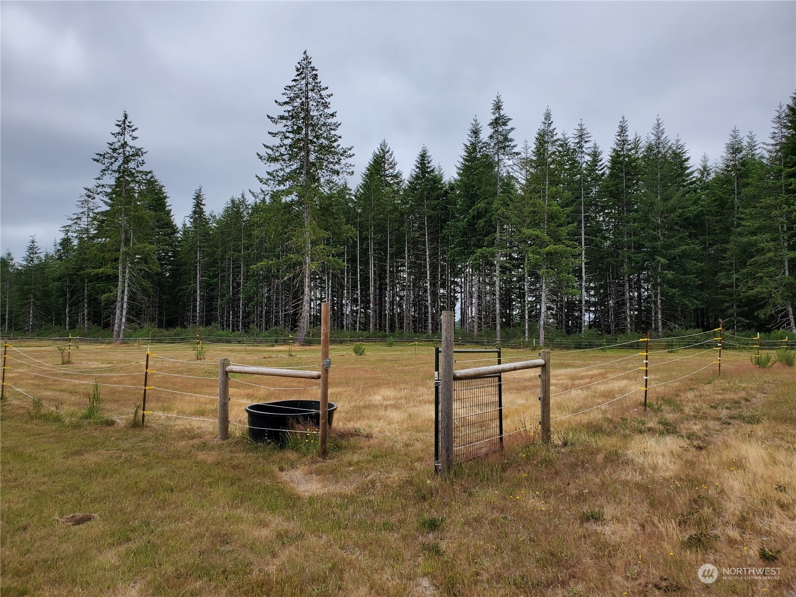 -xx West Matlock-Brady Road Elma, WA 98541 - Photo 7 of 9 Gallery Image 7